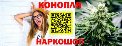 крисы Пыть-Ях