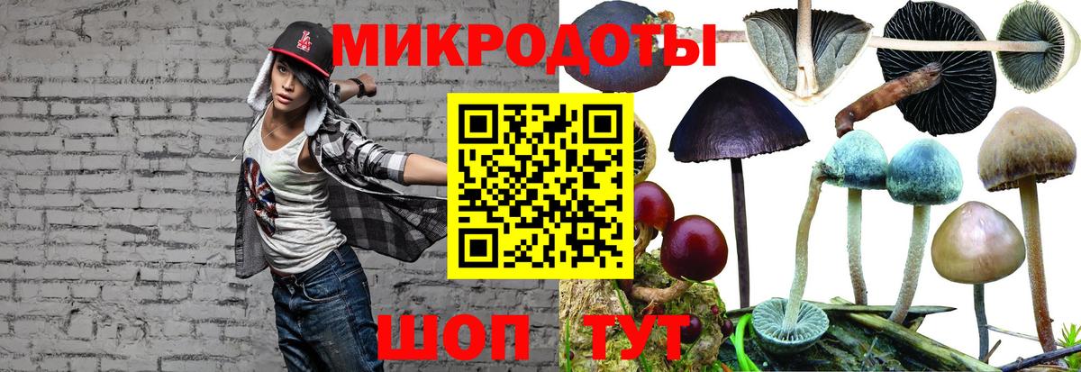 Родники  Галлюциногенные грибы Psilocybine cubensis  Вход с VPN  где купить наркотик  Псилоцибиновые грибы Psilocybine cubensis 