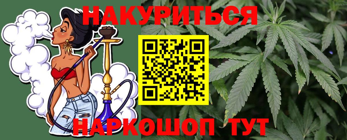 Конопля сатива  Канабис планчик  Конопля конопля  Вход с VPN  Родники  Канабис сатива 